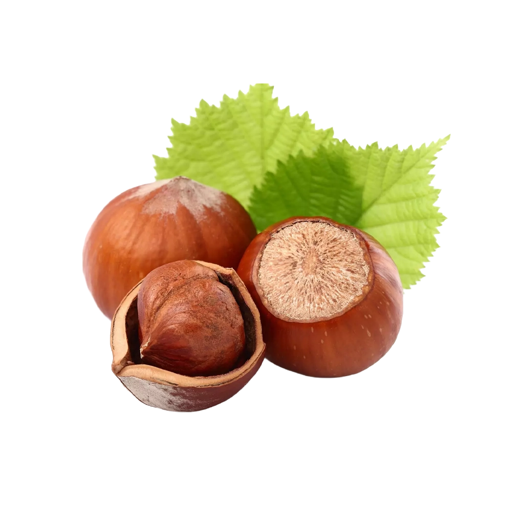 Noisettes